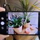 Imagen para el artículo titulado El Asus Zenfone 8 es un Android bestial con el corazón de un gama alta de 2021 y el tamaño de un móvil de 2016